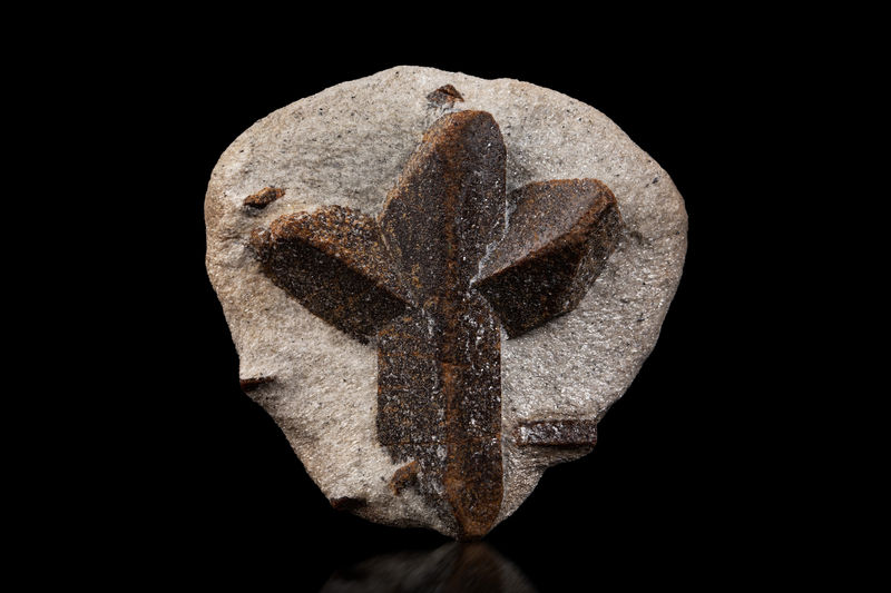 Staurolite-MIM_Museum(2010).jpg