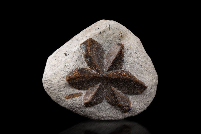 Staurolite-MIM_Museum(2011).jpg