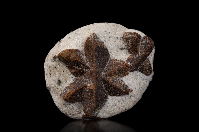 Staurolite-MIM_Museum(2012).jpg