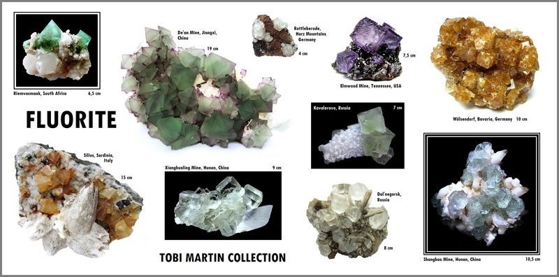 TMC2019-fluorite.JPG