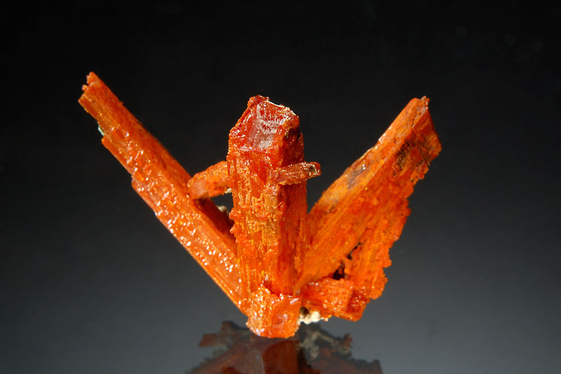 TN058 Crocoite - Adelaide Mine, Dundas, Tasmania.jpg