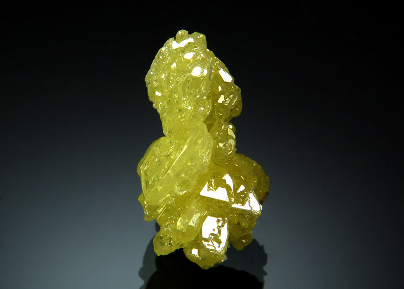 TN062 Sulfur - San Felipe, Baja Calif., Mexico.jpg