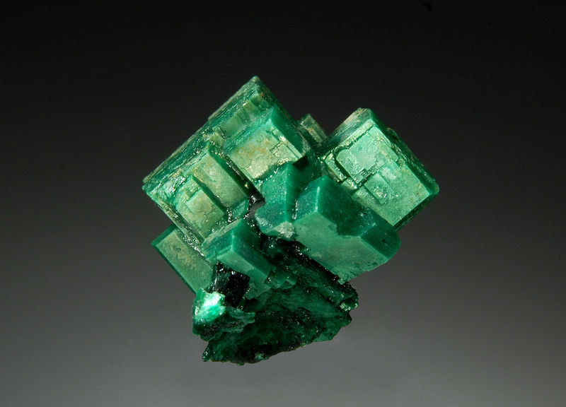 TN130 Metatorbernite - Margabal, Aveyron, France.jpg