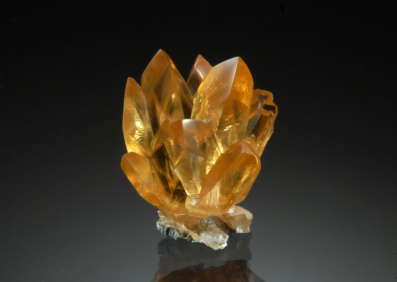 TN191 Calcite - Sham Rock Pit, Okeechobee County, Florida.jpg