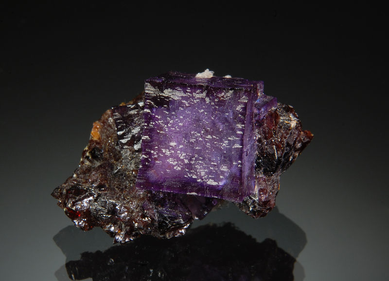 TN200 Fluorite - Elmwood Mine, Carthage, Tennessee.jpg