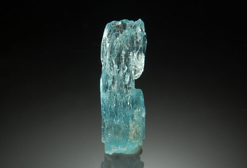 TN230 Beryl var. aquamarine.jpg