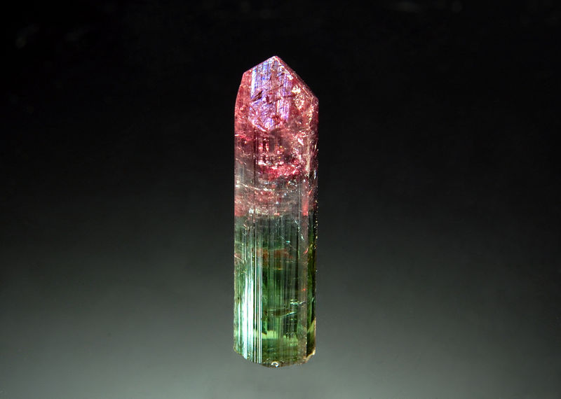 TN236 Elbaite - Cruzeiro Mine.jpg