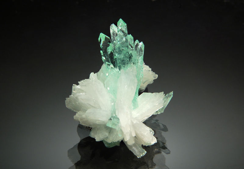 TN283 Fluorapophyllite - Hadapsar, India.jpg