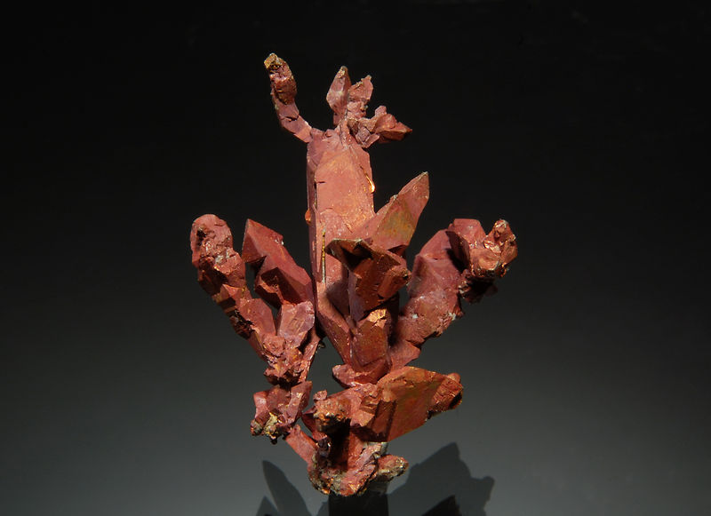 TN323 Copper - Rubtsovskiy Mine, Rudnyi Altai, Russia.jpg