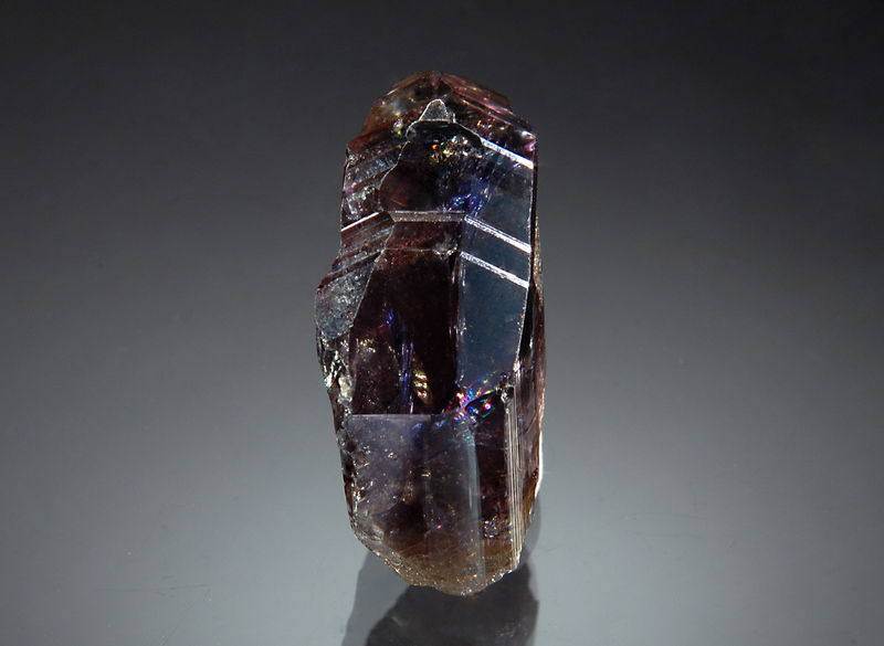 TN391 Zoisite var. tanzanite - Merelani Hills, Arusha Region, Tanzania.jpg