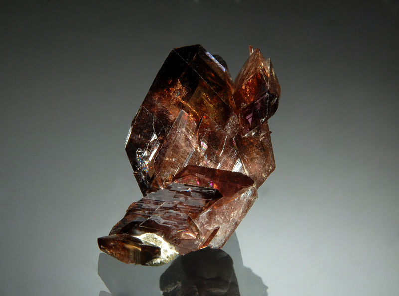 TN442 Axinite-(Fe) - Puiva, Pre Polar Urals, Russia.jpg