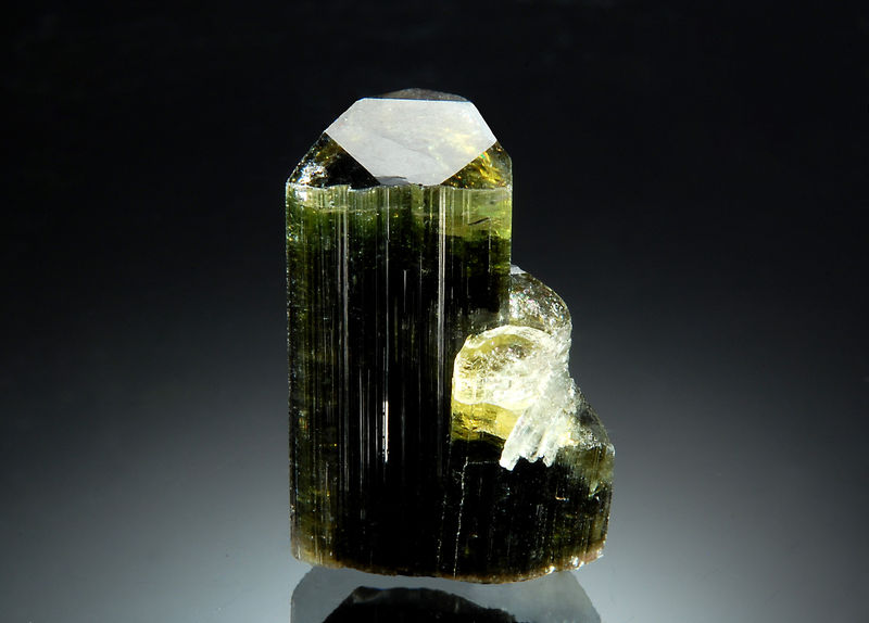 TN495 Elbaite - Stak Nala, Pakistan.jpg