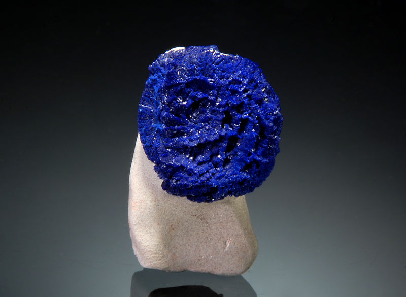 TN497 Azurite - Malbunka Mine, Areyonga, Australia.jpg