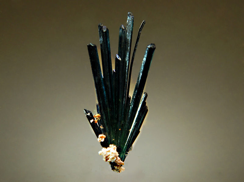 TN537 Vivianite.jpg