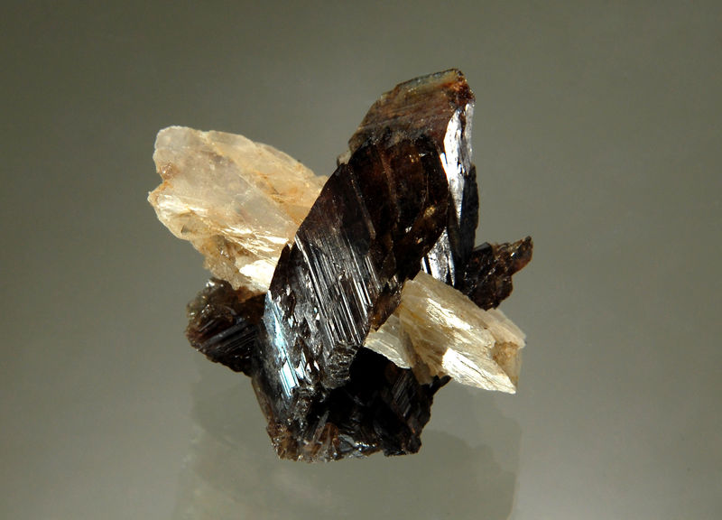 TN659 Axinite - Bor Pit, Dal'negorsk, Russia.JPG