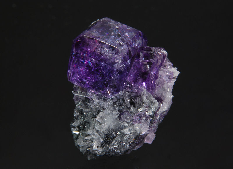 TN732 Fluorite - Yongchun Co., Quanzhou Pref., Fujian Province, China.jpg