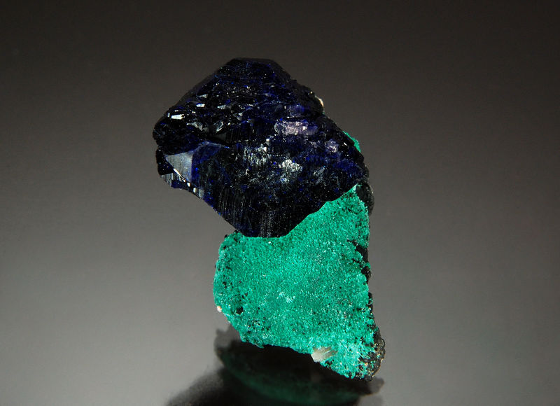 TN779 Azurite on malachite - Milpillas Mine, Sonora, Mexico.jpg