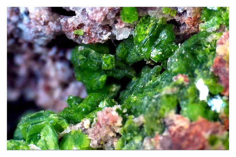 TORBERNITE UNDER THE SCOPE 10.jpg