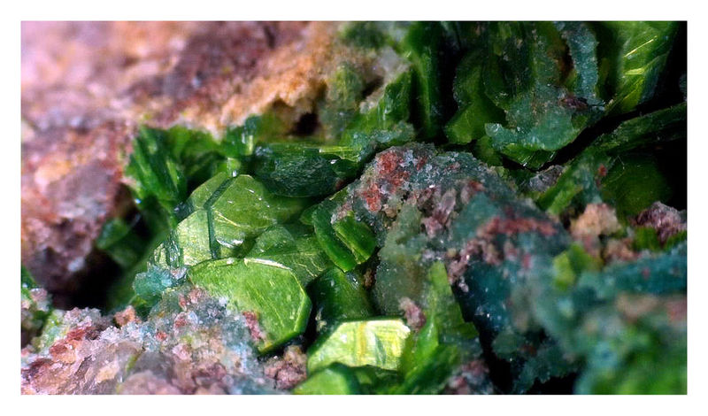TORBERNITE UNDER THE SCOPE 12.jpg