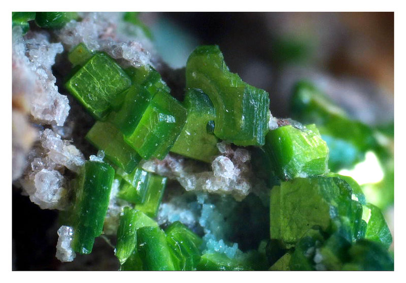 TORBERNITE UNDER THE SCOPE 13.jpg