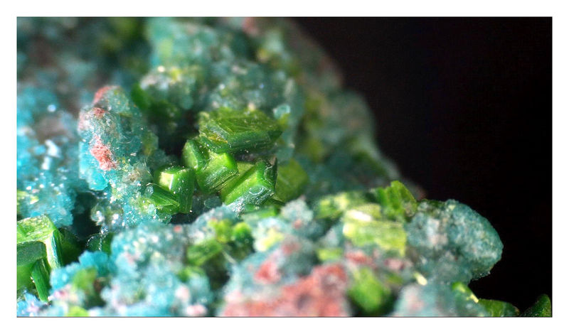 TORBERNITE UNDER THE SCOPE 14.jpg