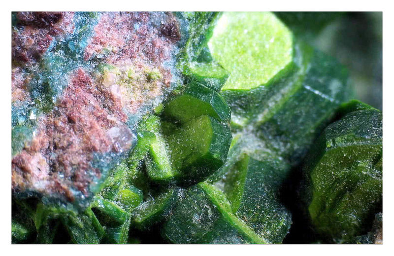 TORBERNITE UNDER THE SCOPE 2.jpg