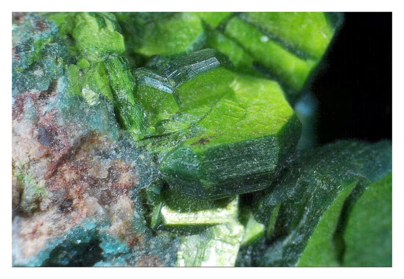 TORBERNITE UNDER THE SCOPE 3.jpg