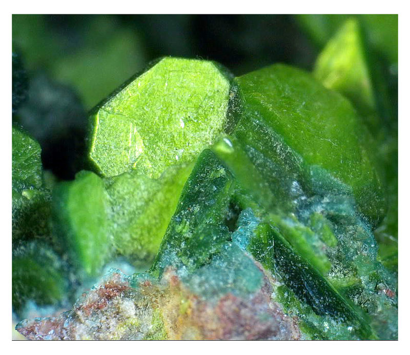 TORBERNITE UNDER THE SCOPE 5.jpg