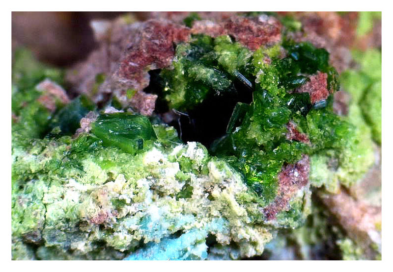 TORBERNITE UNDER THE SCOPE 7.jpg
