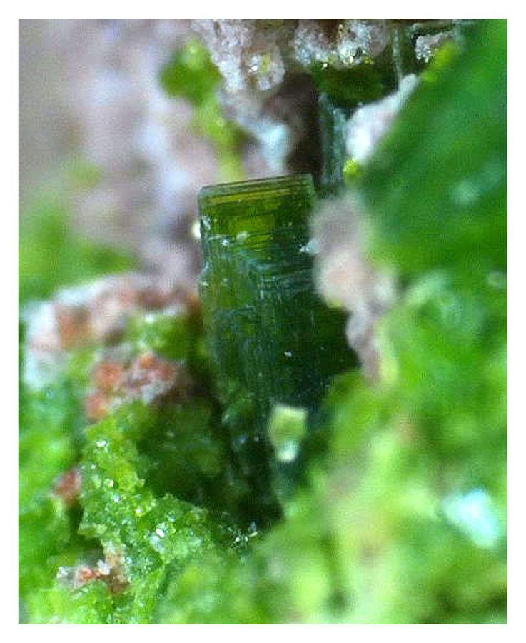 TORBERNITE UNDER THE SCOPE 8.jpg