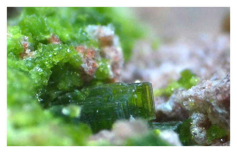 TORBERNITE UNDER THE SCOPE 8A.jpg