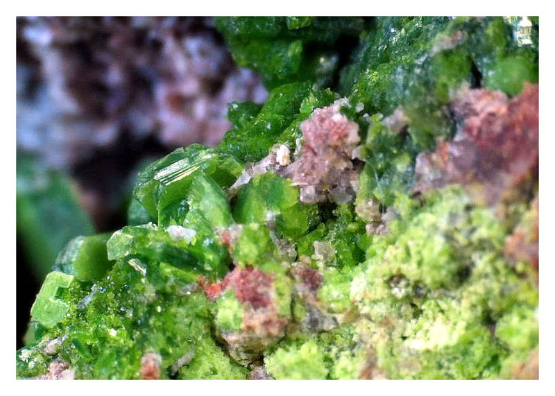 TORBERNITE UNDER THE SCOPE 9.jpg