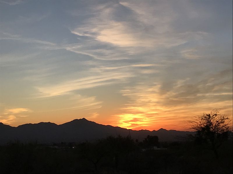 Tucson 2018 (9).JPG
