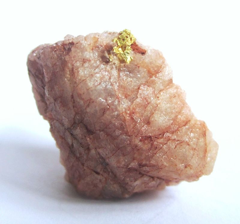 ViuvGOLD1.JPG