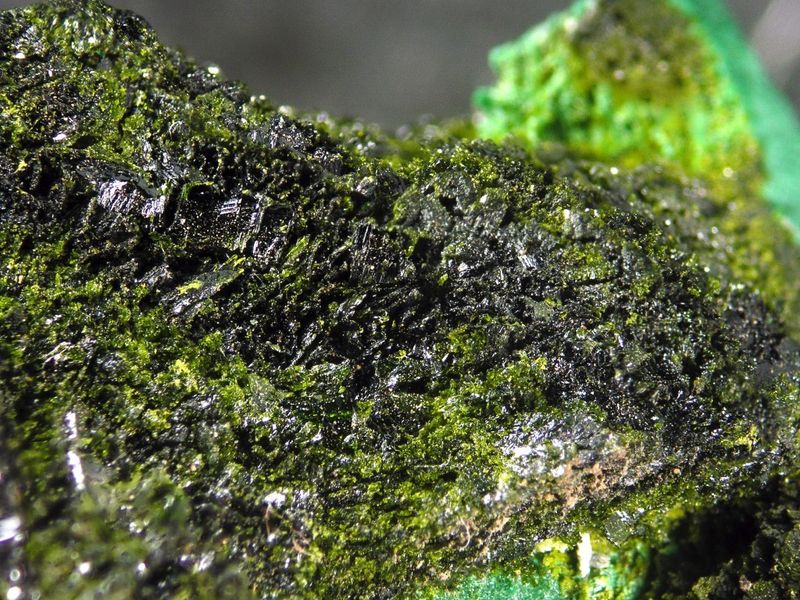 Volborthite. FOV 1.2 cm..jpg