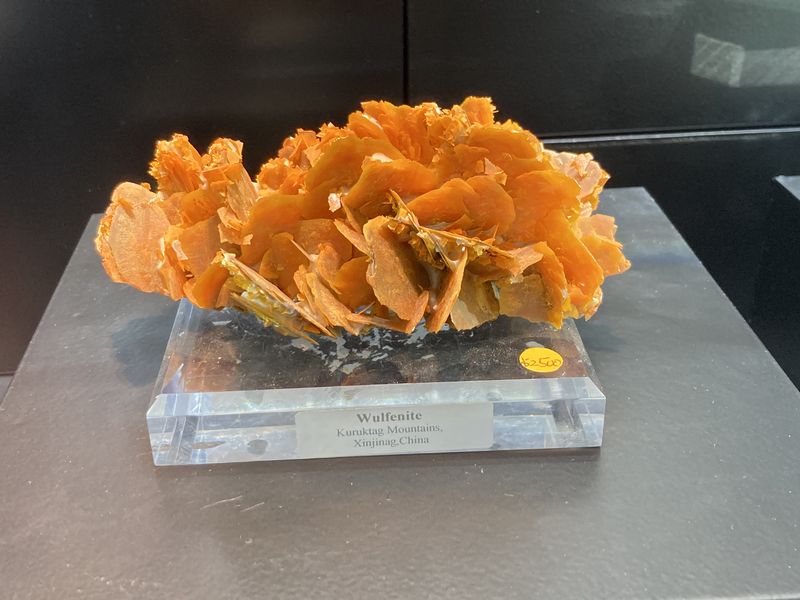 Wulfenite, Kuruktag Mountains, Xinjiang, China.JPG