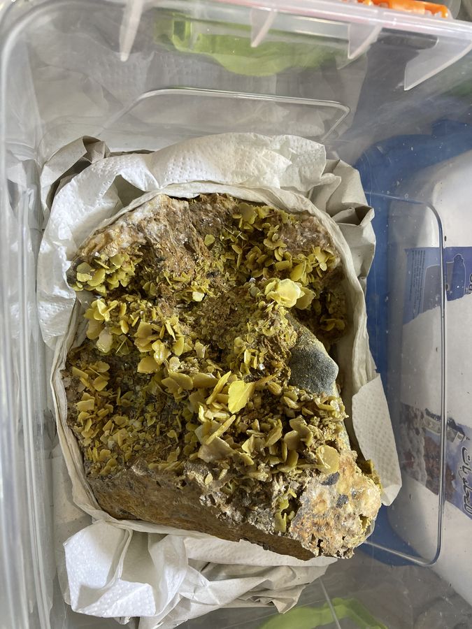 Wulfenite, Morocco.JPG