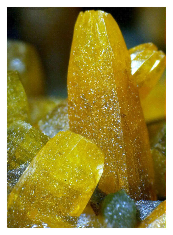 Wulfenite with Mimetite - UP CLOSE AND PERSONAL 1.jpg