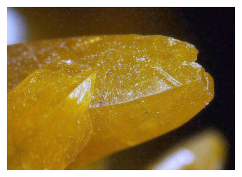 Wulfenite with Mimetite - UP CLOSE AND PERSONAL 6.jpg