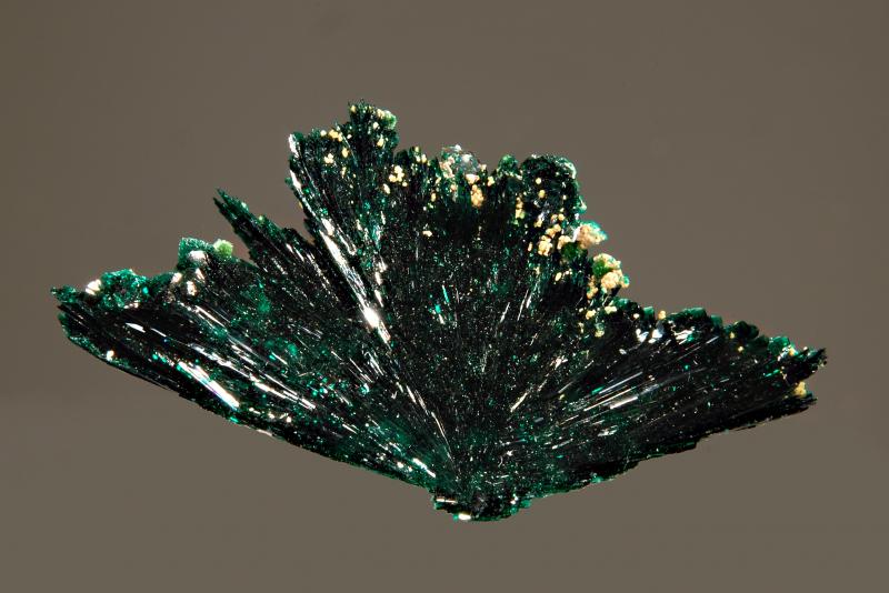 TN415 Atacamite.jpg