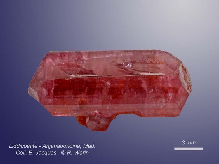 Tourmaline-9211-3_R.jpg