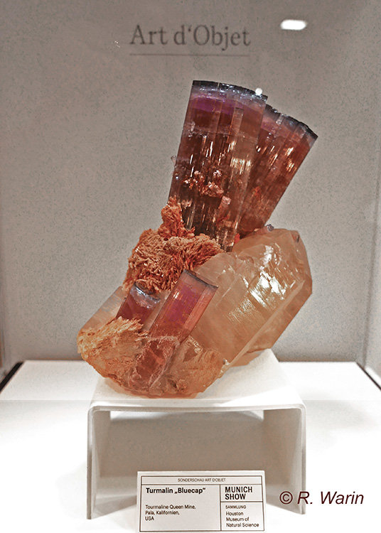 Tourmaline_Houston_L1140344-d_R.jpg