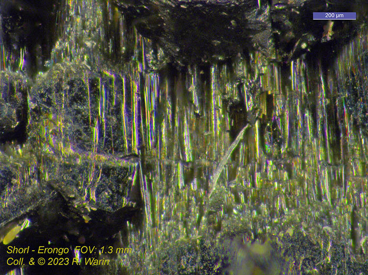 Tourmaline_Schorl#3A1_R.jpg