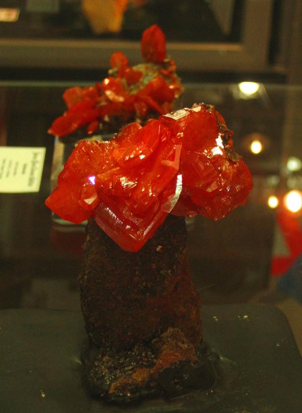 Tucson 2008 - Wulfenite Red Cloud Mine.jpg