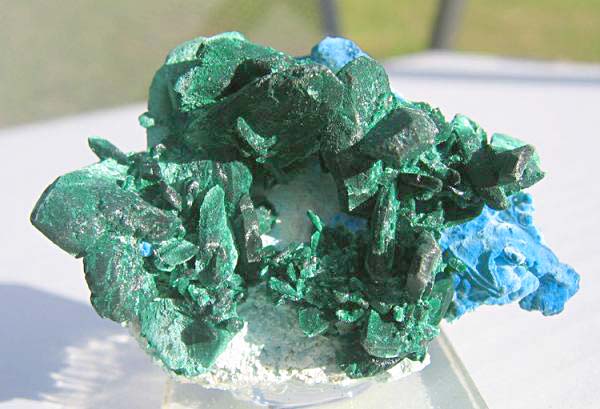 Tucson 2009 - Plancheite with Malachite after Azurite.jpg