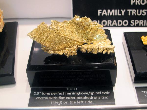 Tucson 2010 - Gold.jpg