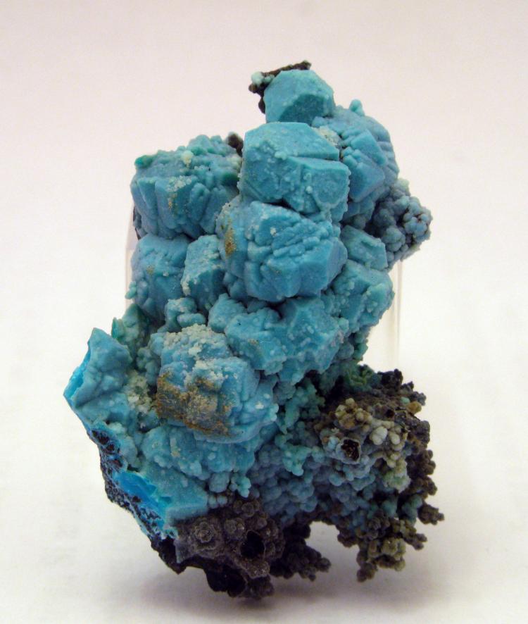 Tucson 2011 - Chrysocolla after Boleite.jpg