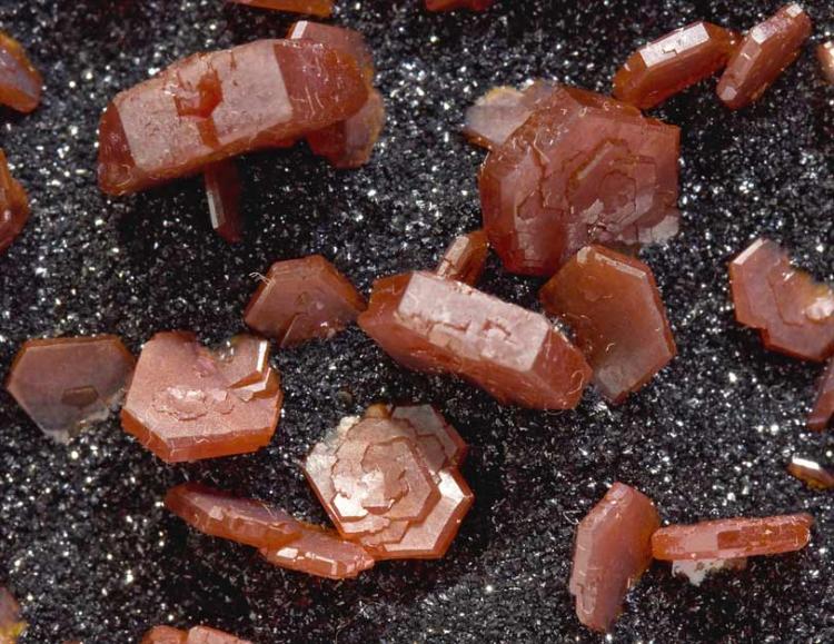 Vanadinite with Mottramite - Aderhoual, Mibladen, Midelt, Morocco - Detail.jpg