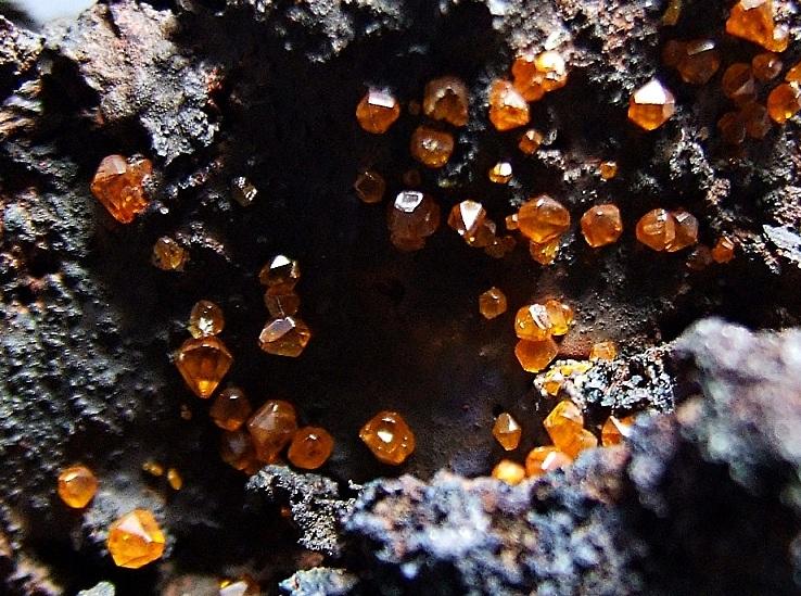 Whim Creek Wulfenite on Goethite (2).jpg