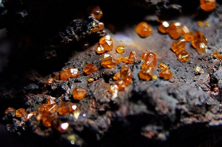 Whim Creek Wulfenite on Goethite (5).jpg